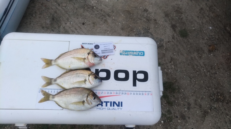 Fish Measure Picture