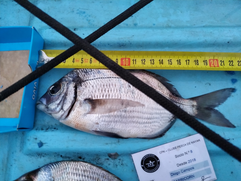 Fish Measure Picture
