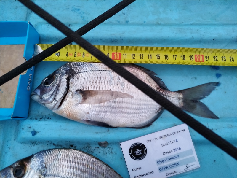 Fish Measure Picture
