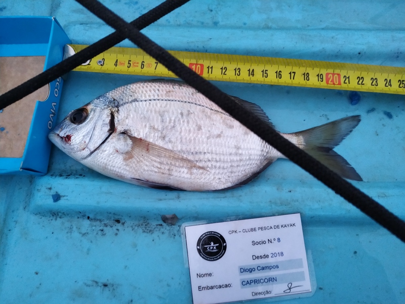 Fish Measure Picture