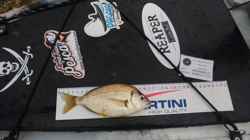 Fish Measure Picture