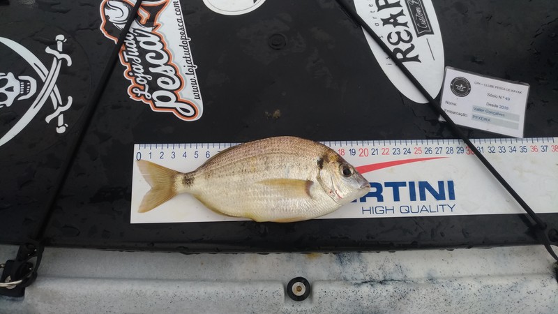 Fish Measure Picture