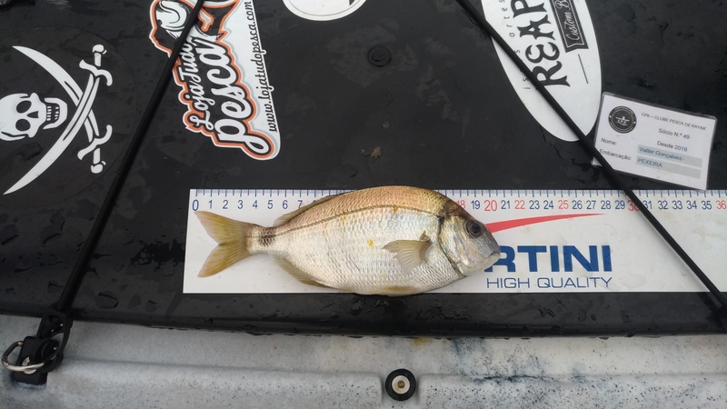 Fish Measure Picture