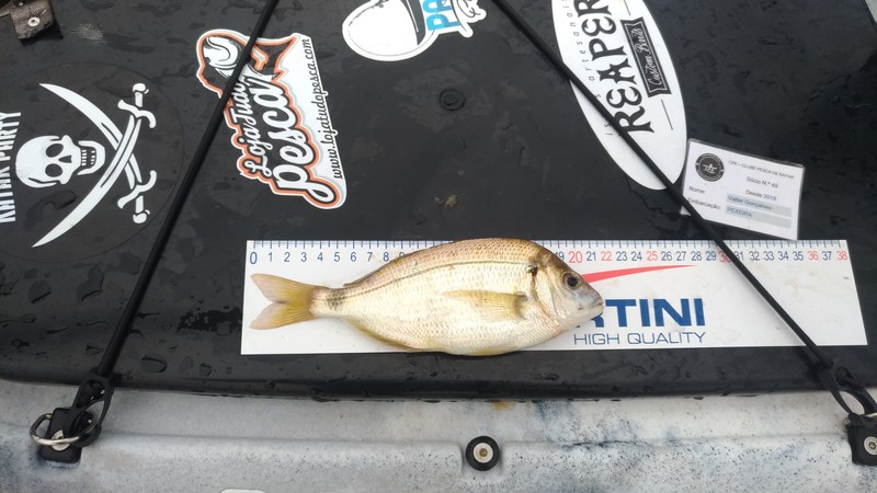 Fish Measure Picture