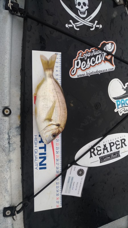 Fish Measure Picture