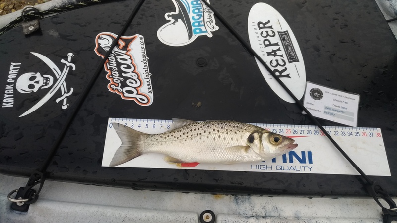 Fish Measure Picture