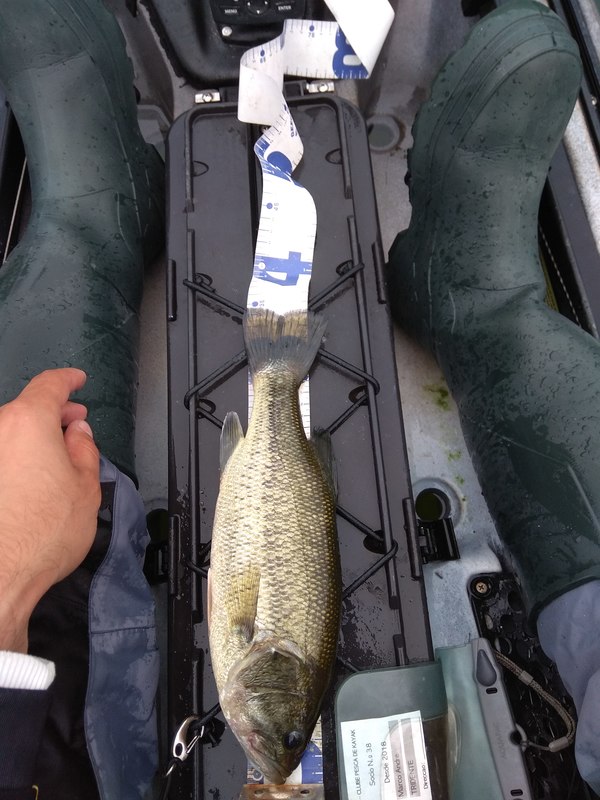 Fish Measure Picture