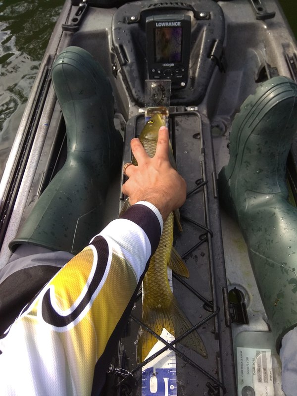 Fish Measure Picture