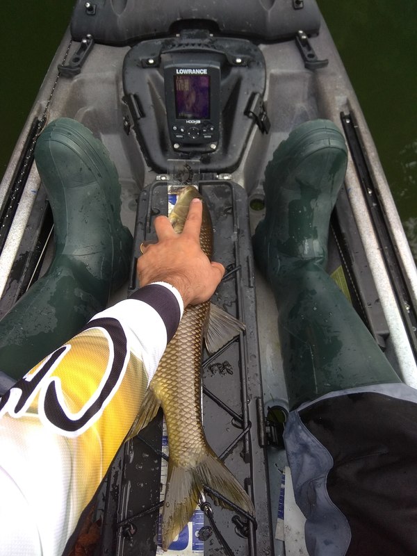 Fish Measure Picture