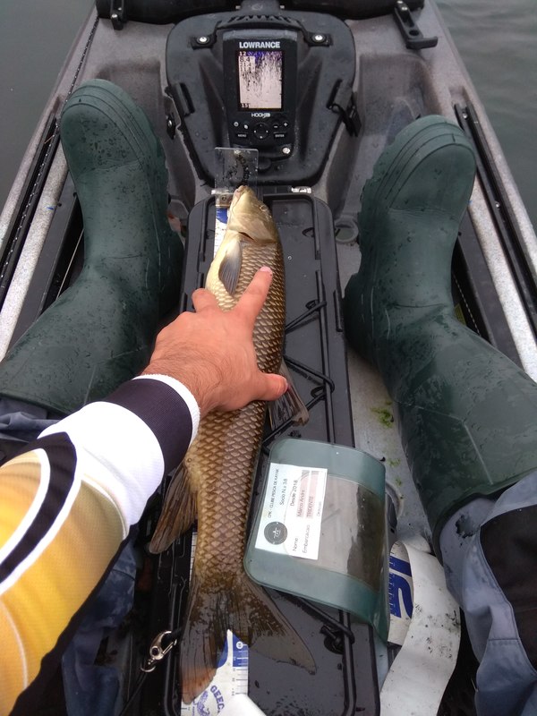 Fish Measure Picture