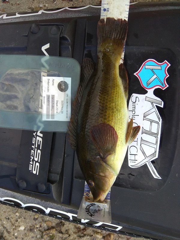 Fish Measure Picture