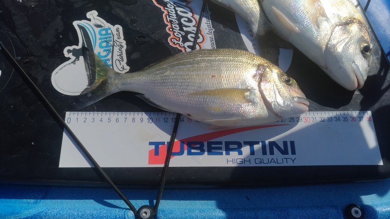 Fish Measure Picture