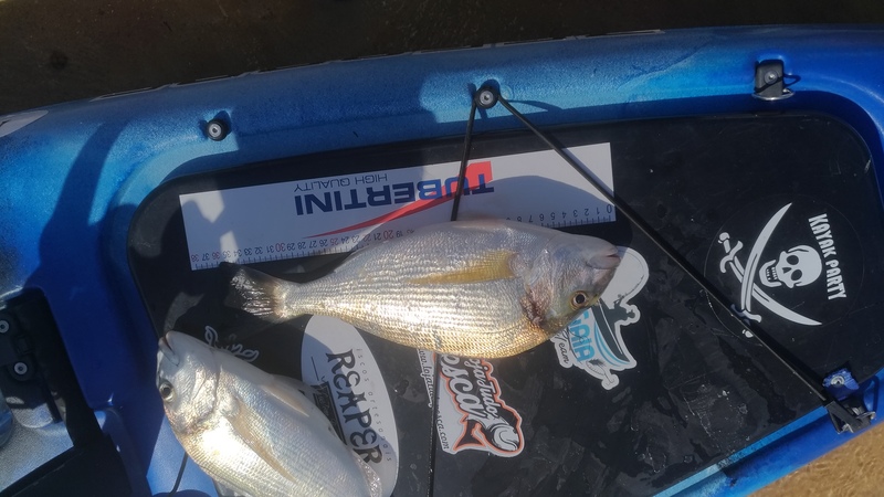 Fish Measure Picture