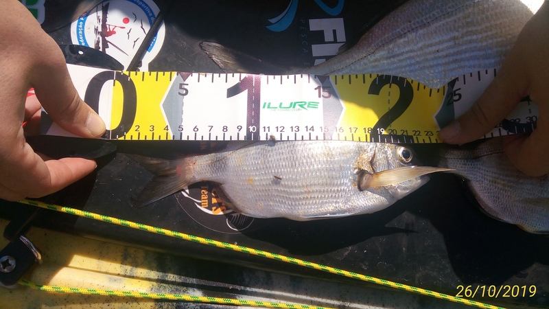 Fish Measure Picture
