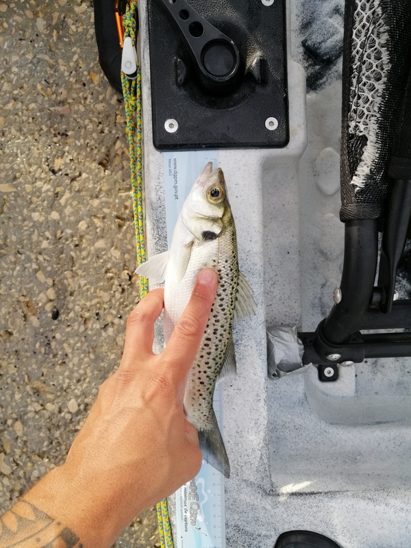Fish Measure Picture
