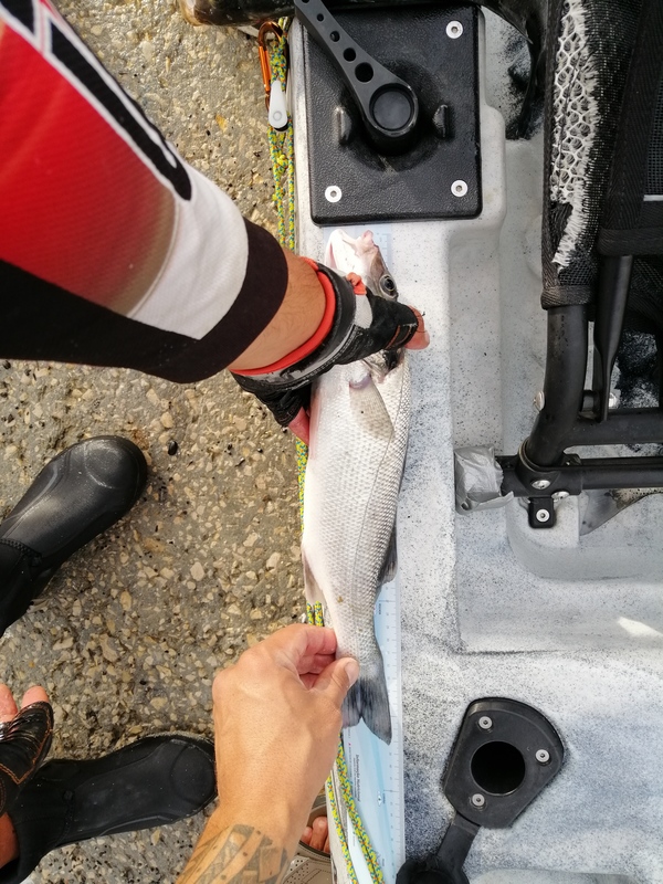 Fish Measure Picture