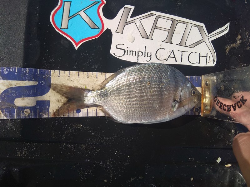 Fish Measure Picture