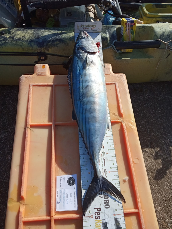 Fish Measure Picture