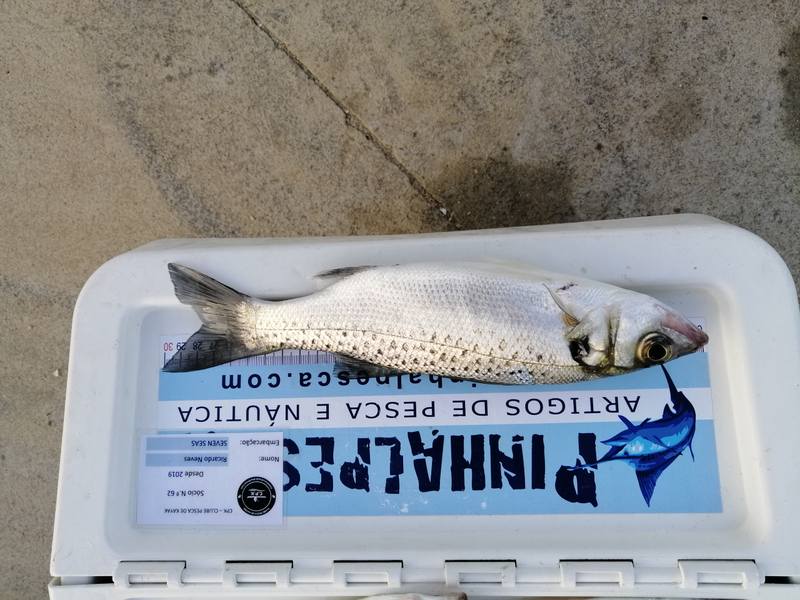 Fish Measure Picture