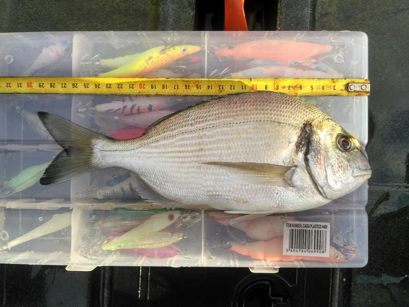 Fish Measure Picture