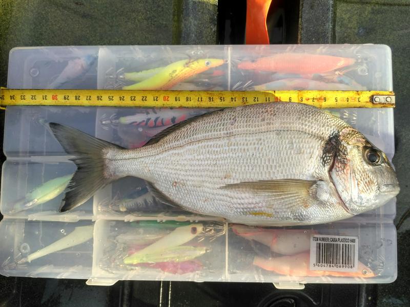 Fish Measure Picture