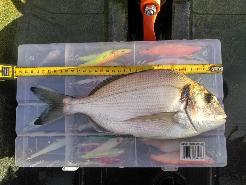Fish Measure Picture