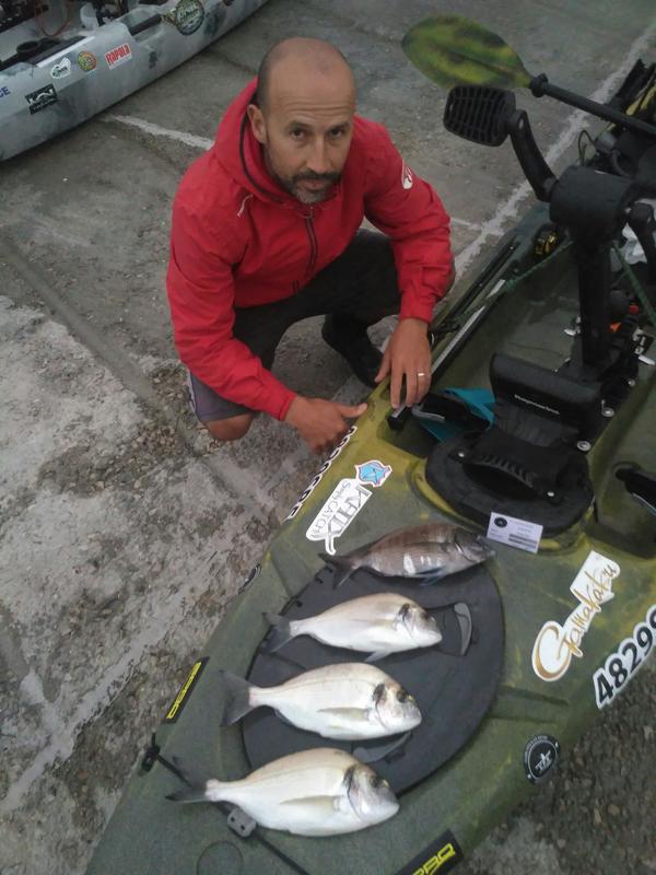 Fish Profile Picture