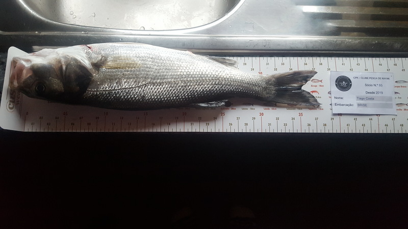 Fish Measure Picture