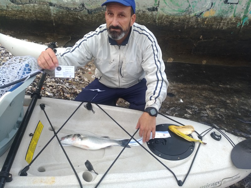 Fish Profile Picture