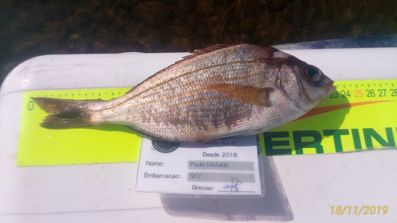 Fish Measure Picture