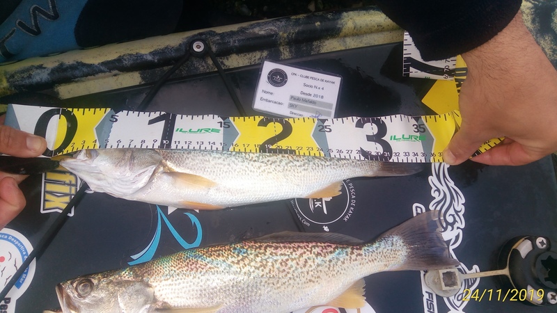 Fish Measure Picture