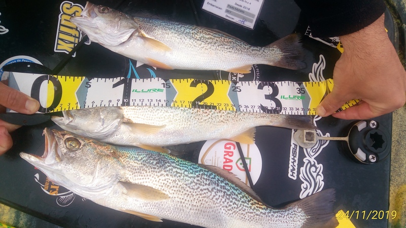 Fish Measure Picture