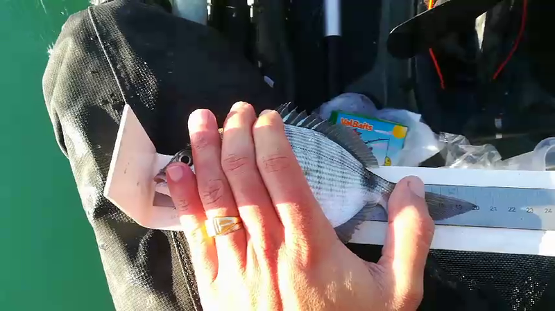 Fish Measure Picture