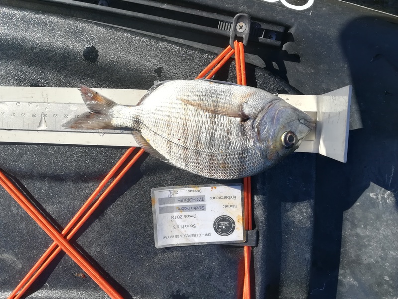 Fish Measure Picture