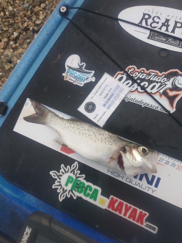 Fish Measure Picture