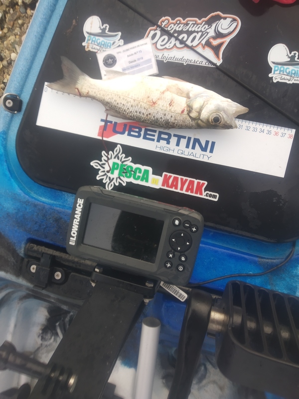 Fish Measure Picture