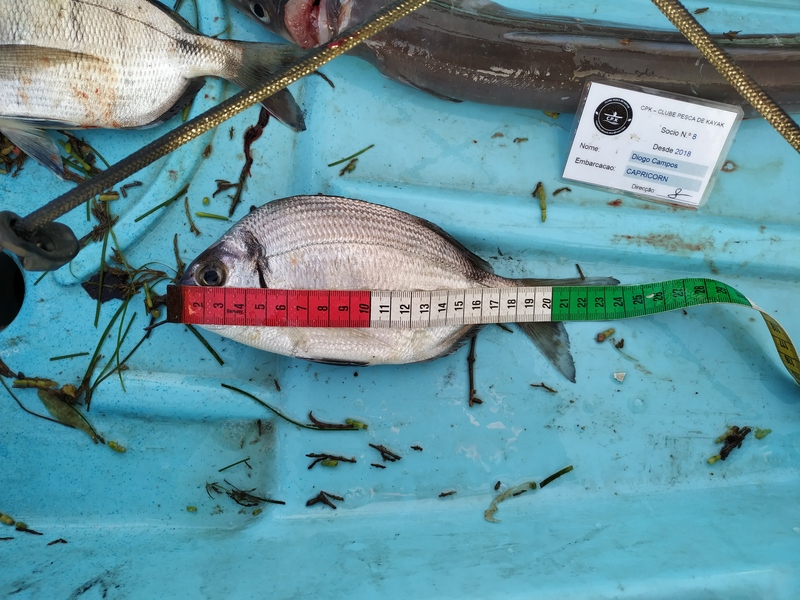 Fish Measure Picture
