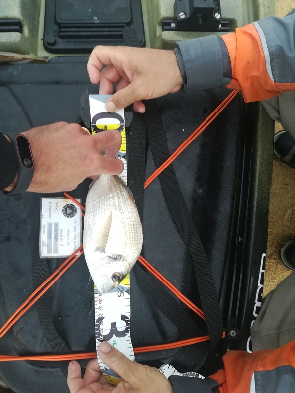 Fish Measure Picture
