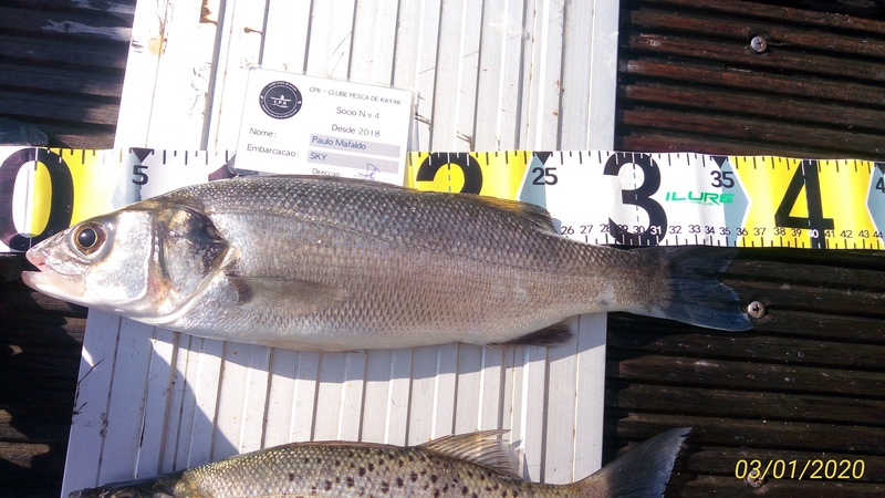 Fish Measure Picture
