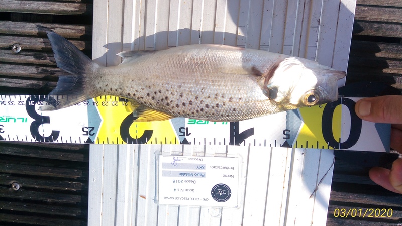 Fish Measure Picture