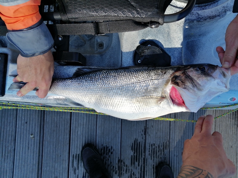 Fish Measure Picture
