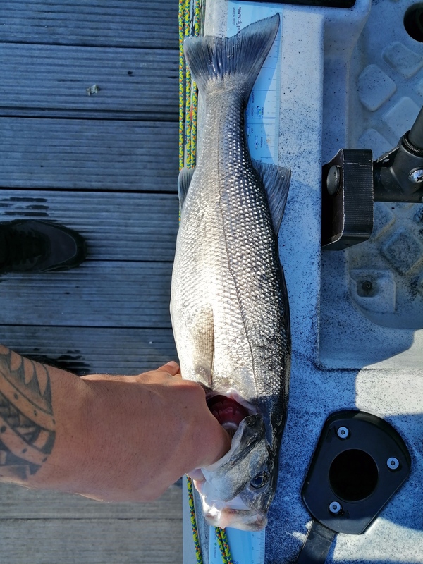 Fish Measure Picture
