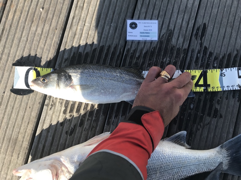 Fish Measure Picture