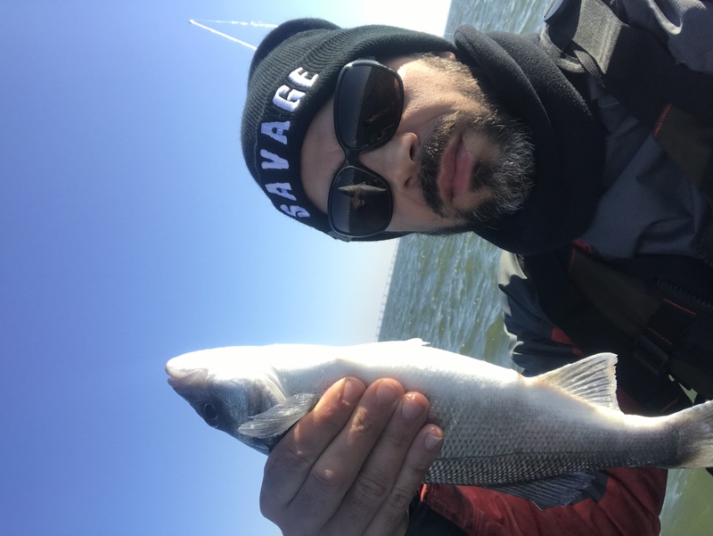 Fish Profile Picture