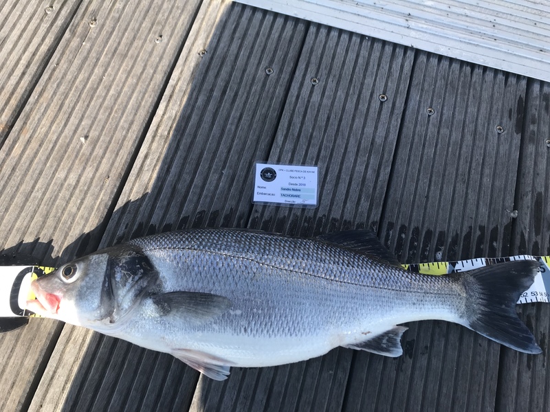 Fish Measure Picture