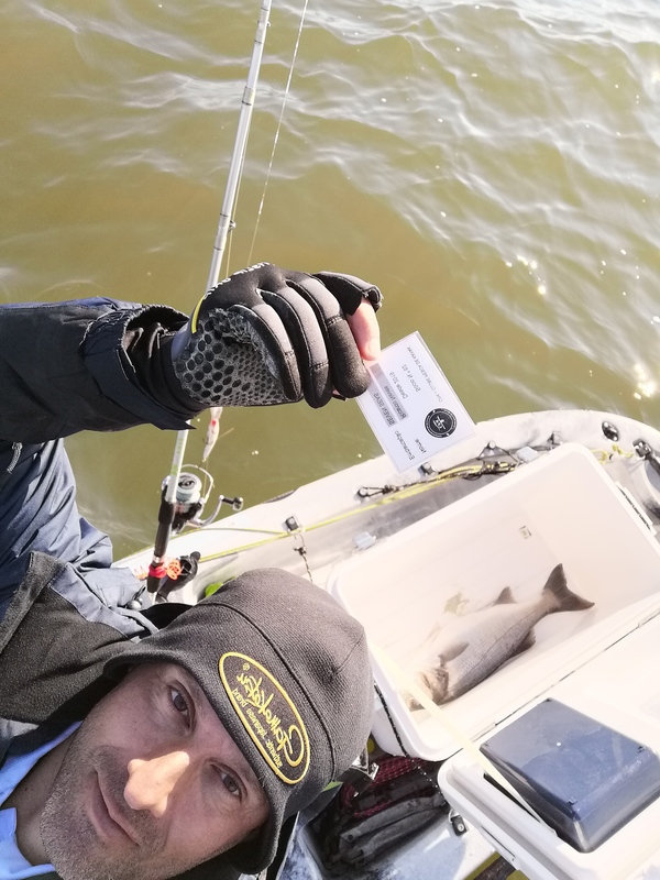 Fish Profile Picture