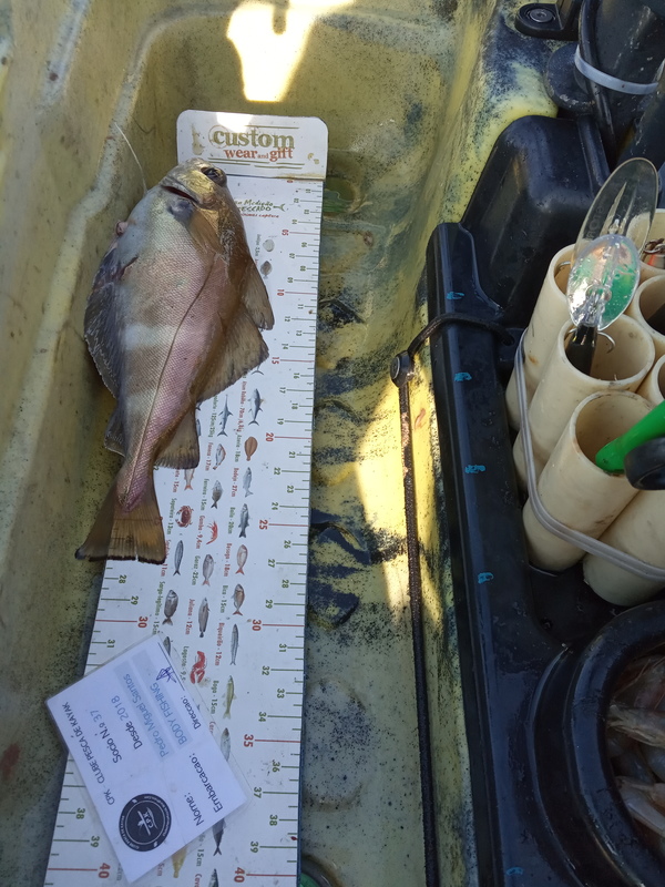 Fish Measure Picture