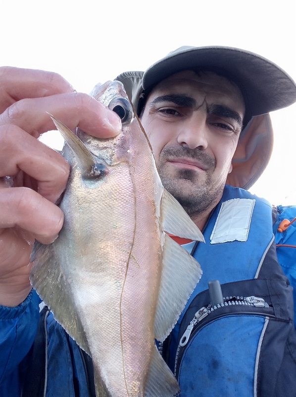 Fish Profile Picture
