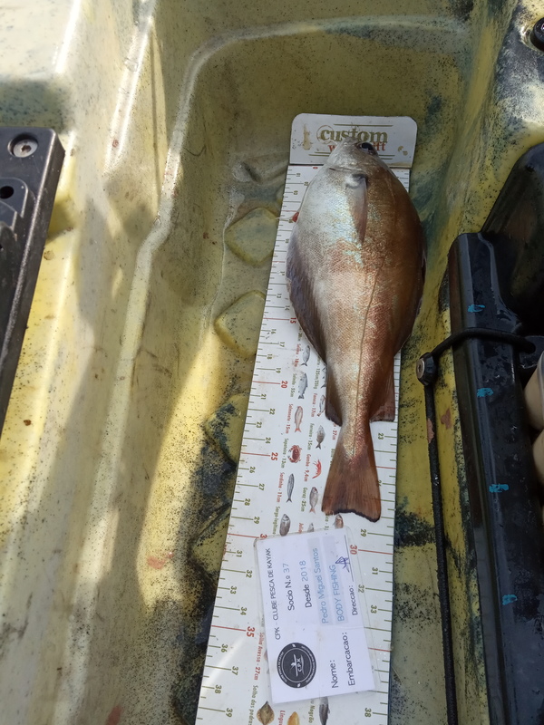 Fish Measure Picture