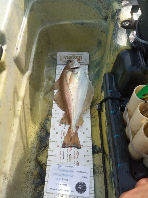 Fish Measure Picture